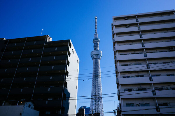 tokyo sky tree and city