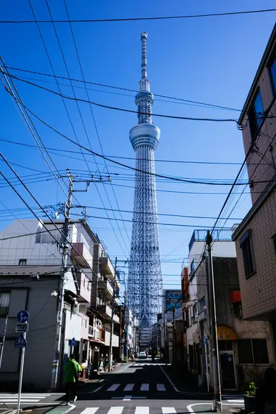 Tokyo gökyüzü ağacı ve şehir