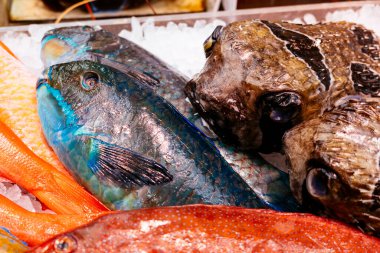 Okinawa 'daki taze balık pazarı.