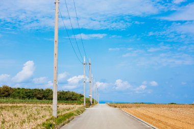 Okinawa 'da mavi gökyüzü ve yol