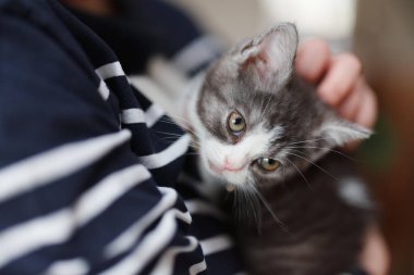 Evin sahibinin yanında kedi yavrusu var.