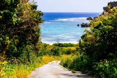 Okinawa 'daki uku plajı.