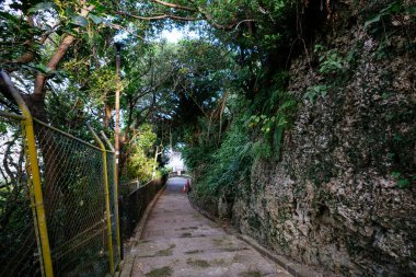 Okinawa 'daki eski kaldırım taşı yolu.
