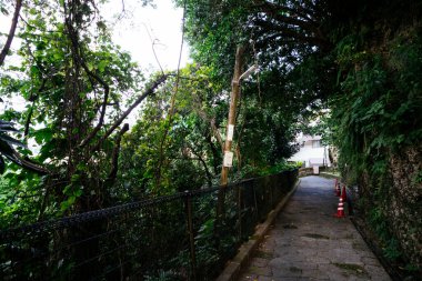 Okinawa 'daki eski kaldırım taşı yolu.