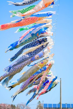 Japonya 'da sazan flaması