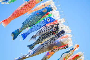 Japonya 'da sazan flaması