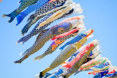 Japonya 'da sazan flaması