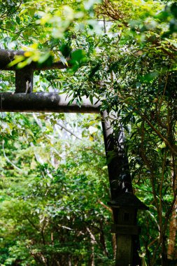 Utaki Okinawa 'nın kutsal binası Japonya