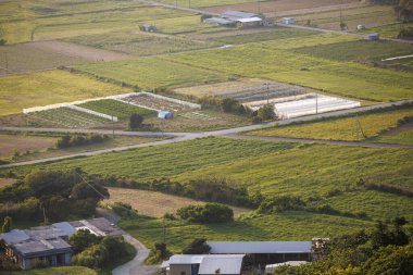 Yoron Adası 'na bakıyorum.