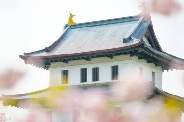 matsumae kalesi ve kiraz çiçekleri