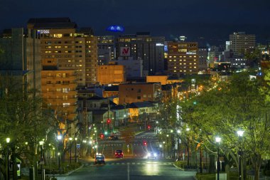 Hakodate hokkaido 'da gece görüntüsü