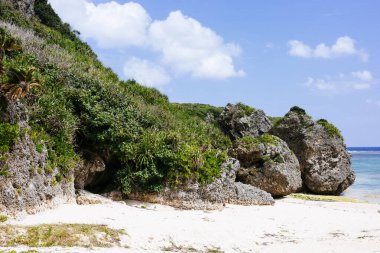 Okinawa 'daki uku plajı.