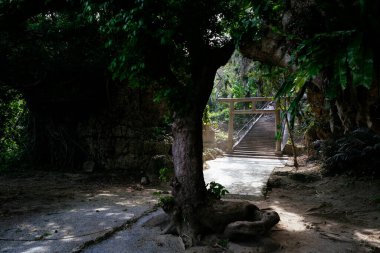 Okinawa 'daki Shirmichu' nun mezarı.