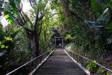 Okinawa 'daki Shirmichu' nun mezarı.