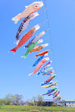 Japonya 'da sazan flaması