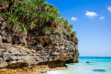 Yoron adasının kobalt mavisi denizi