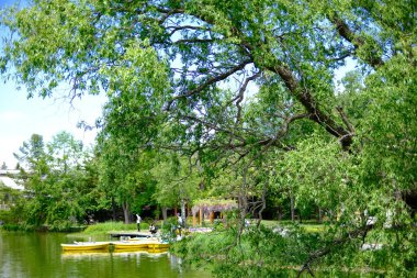 Yaz Hokkaido 'sunda Midorigaoka Parkı