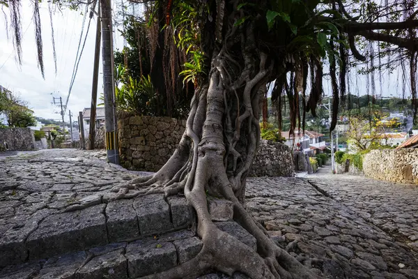 stock image Old cobblestone road in Okinawa