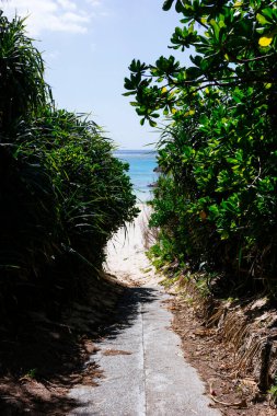 Yoron Adası 'nda denize giden yol