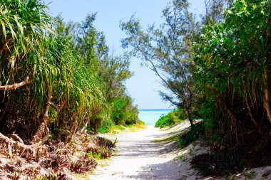 Yoron Adası 'nda denize giden yol