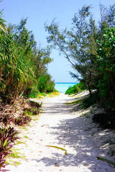 stock image road to the sea in yoron island