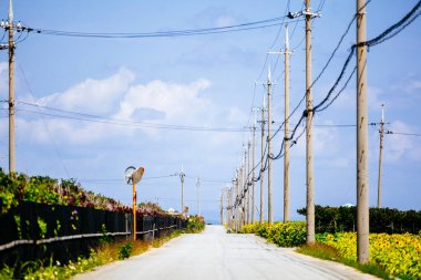 Okinawa 'da mavi gökyüzü ve yol