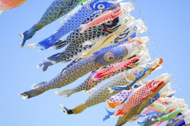 Japonya 'da sazan flaması