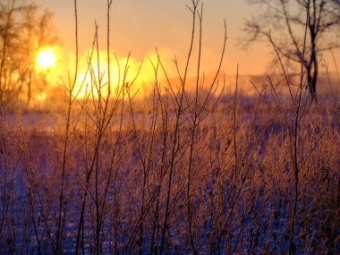 cold winter morning in hokkaido