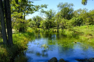 Yazın güzel bir nehir Hokkaido