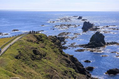 Japonya Hokkaido 'daki Cape erimo.