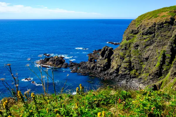 Japonya Hokkaido 'daki Cape erimo.