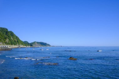 Mavi denizde yosun avı