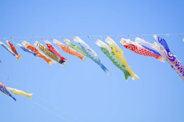 Japonya 'da sazan flaması