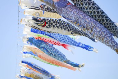 Japonya 'da sazan flaması