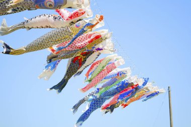 Japonya 'da sazan flaması