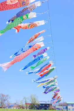 Japonya 'da sazan flaması