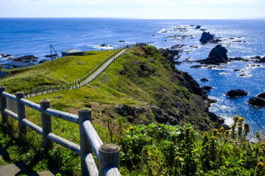 Japonya Hokkaido 'daki Cape erimo.