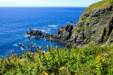 Japonya Hokkaido 'daki Cape erimo.