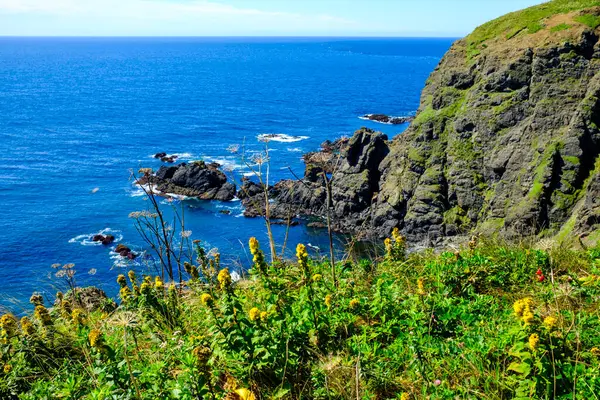 Japonya Hokkaido 'daki Cape erimo.