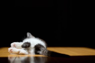 Kediyi kapat ve uzan.