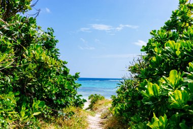 Okinawa 'daki uku plajı.
