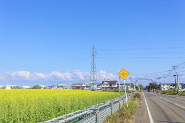 Yolun yakınındaki tekrar tohumlama alanı
