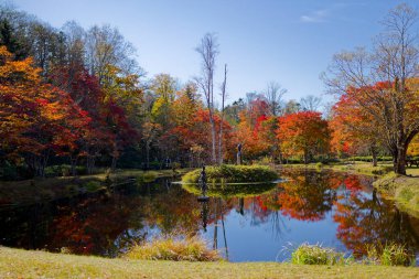Shikaoi Hokkaido 'da sonbahar yaprakları