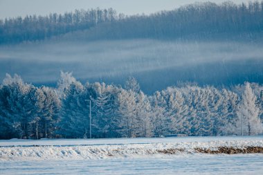 Buz kaplı tişört ve soğuk sis