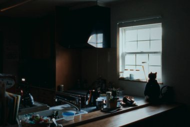 Pencerenin yanında bir kedi