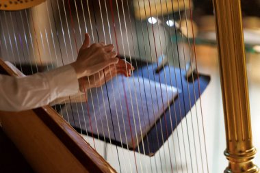 Arp çalan birinin elleri.