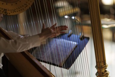 Arp çalan birinin elleri.