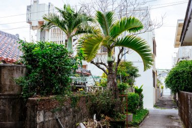 Okinawa Japonya 'nın manzarası