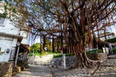 Okinawa 'daki eski kaldırım taşı yolu.