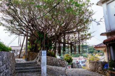 Okinawa 'daki eski kaldırım taşı yolu.
